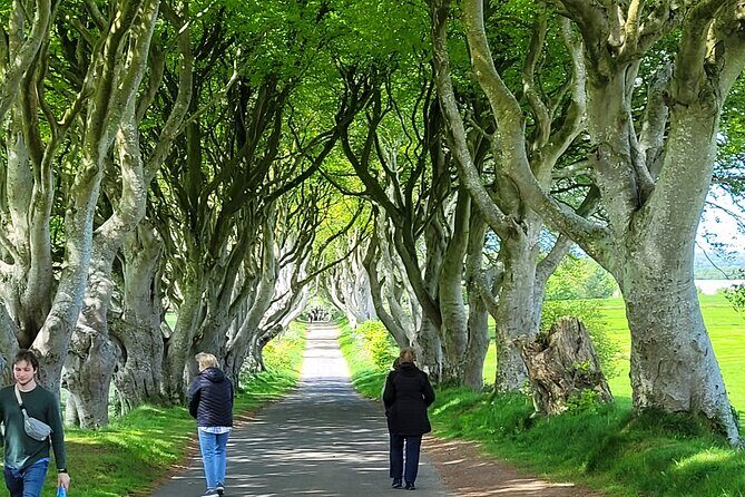 4 Hours Private Belfast City Tours - The Private Driver Factor: When Guides Make the City Click
