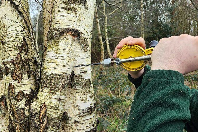 Adult Foraging Walk & Bushcraft Cookery Course for Beginners - Key things to know before you go