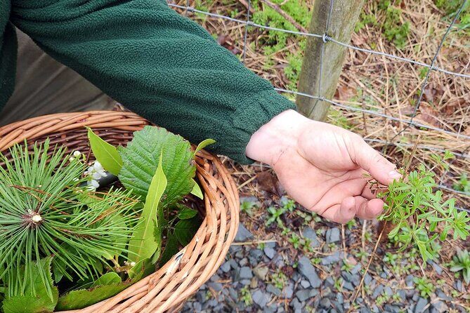 Adult Foraging Walk & Bushcraft Cookery Course for Beginners - What you take home: skills, confidence, and small keepsakes