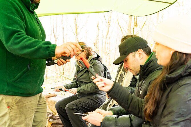 Adult Foraging Walk & Bushcraft Cookery Course for Beginners - Plant identification basics with David: what you’ll actually be able to use
