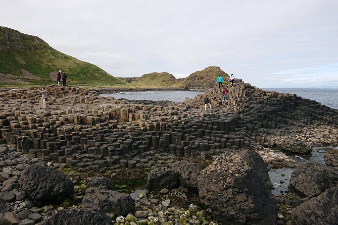 Customisable Private Shore Excursion From Belfast Cruise Terminal - The Dark Hedges and White Park Bay: Short Stops That Break Up the Day