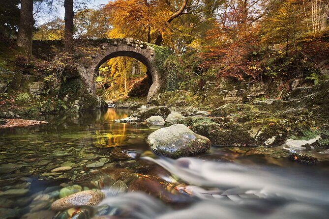 From Belfast: Game of Thrones Winterfell Locations Trek - Tollymore Forest Park: the White Walker trek