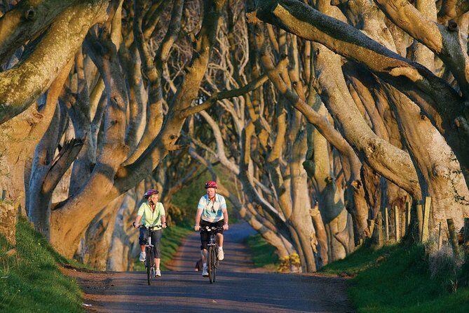 From Belfast-Giants Causeway, Dunluce Castle and Dark Hedges tour - Comfort on the road: coach seats, timing, and not getting left behind