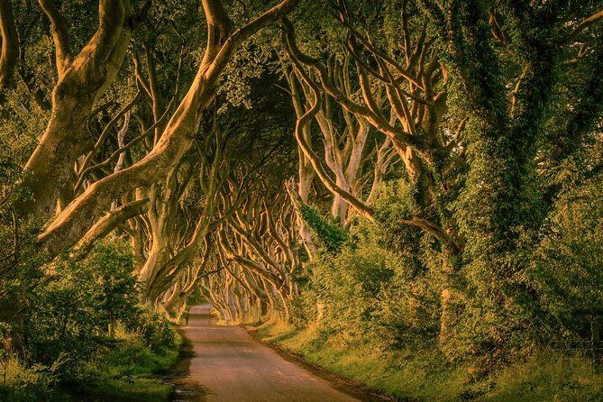 From Belfast-Giants Causeway, Dunluce Castle and Dark Hedges tour - What to bring: shoes, rain gear, and a packed lunch plan