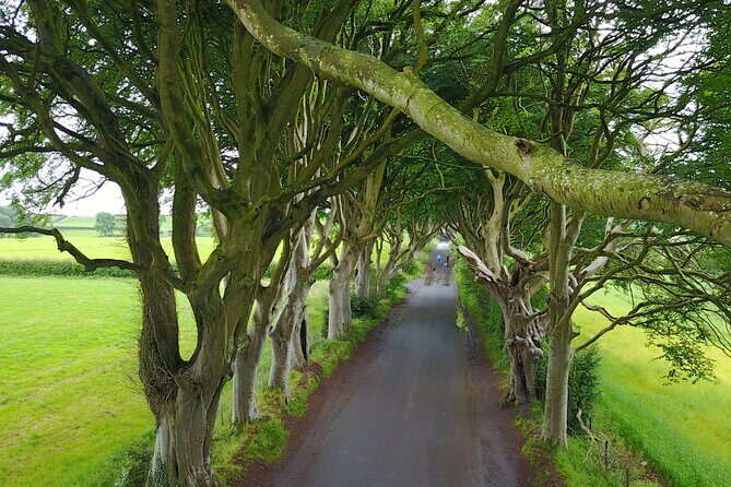 Full-Day Private Giant's Causeway Experience - Belfast pickup + the real rhythm of an 8-hour North Coast day