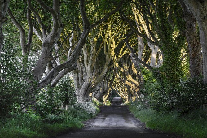 Game of Thrones and Giant's Causeway Full-Day Tour from Belfast - The Causeway Coastal Route: why the drive matters