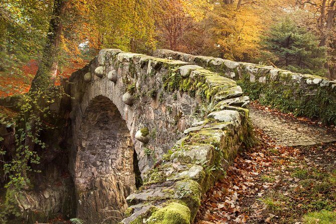 Game of Thrones - Tollymore Forest Trek - Who This Tour Fits Best (and Who Might Prefer Another Option)