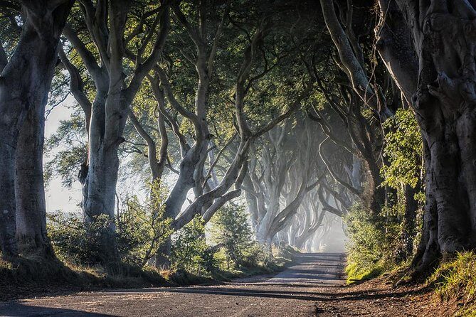 Giant's Causeway and more including Titanic Experience Ticket Tour from Belfast - North Atlantic Coast, Dunluce Castle ruins, and the photo breaks