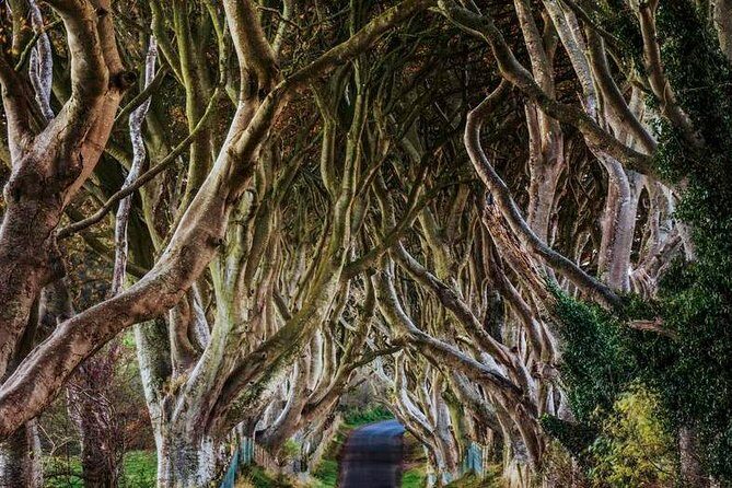 Giant's Causeway Full Day Tour from Belfast - Causeway Coast Drive: Rathlin Island and the Long Scottish View