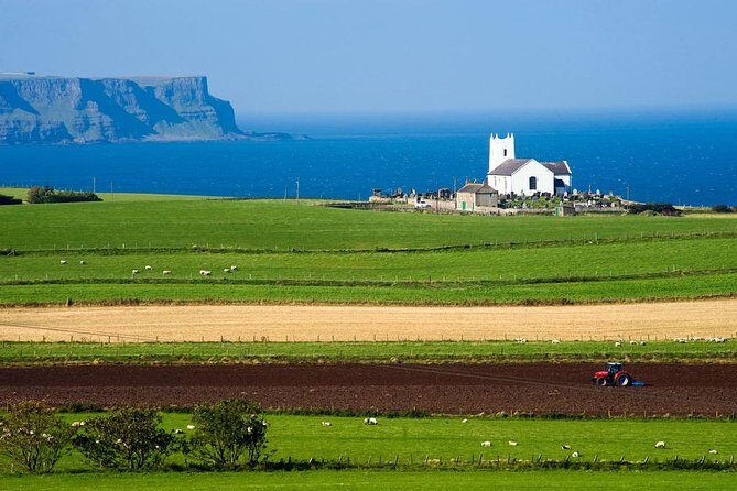 Giant's Causeway Full Day Tour from Belfast - On-Board Comfort, WiFi, and the Style of Your Guide