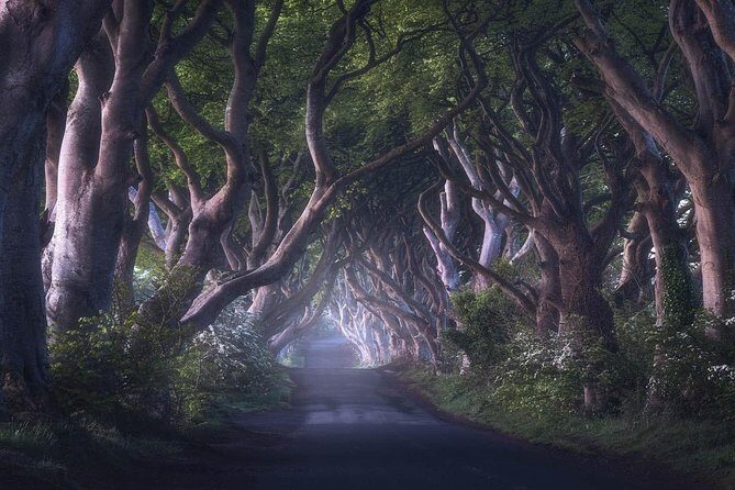 Giants Causeway & Game of Thrones Tour from Belfast - Ballintoy Harbour: The Iron Islands Moment