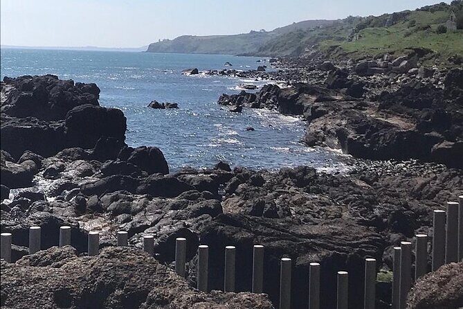 Giants Causeway ~ one stop tour - The round-trip ride: comfortable transport, local context, real stories