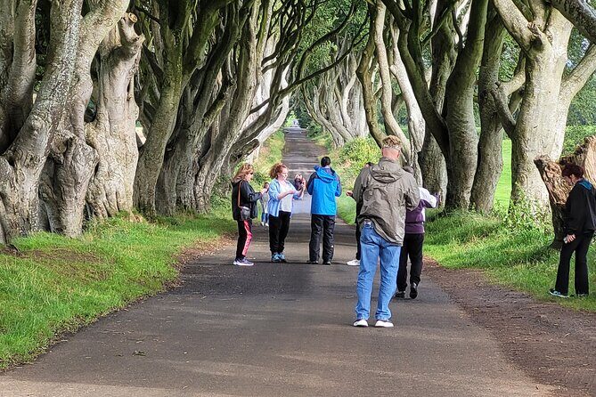 Giants causeway private tour 1 to 7 people - The Dark Hedges: Game of Thrones Kingsroad photos in real life
