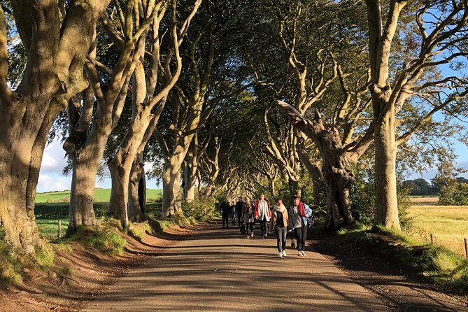 Giants Causeway, Rope Bridge, Carrickfergus Castle and Dark Hedges Tour - Carrick-a-Rede: rope bridge viewpoint instead of crossing