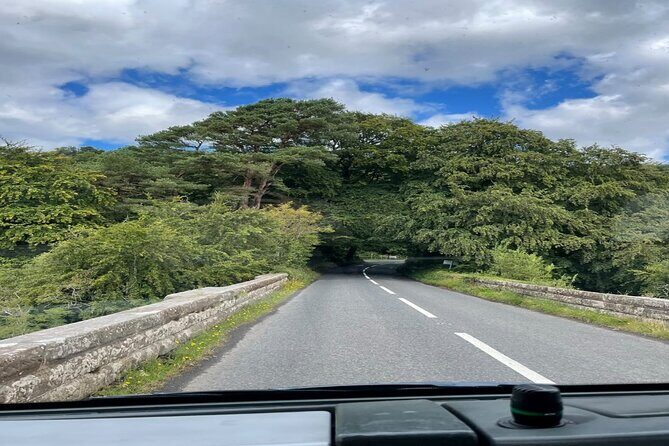 Giants Causeway, Rope Bridge, Carrickfergus Castle and Dark Hedges Tour - Giant’s Causeway: where the day either clicks or feels rushed