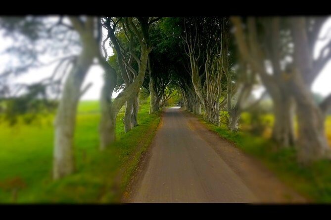 Guided Day Tour of Giant's Causeway from Belfast by Comfortable Coach - Portaneevy View Point and Dark Hedges: short stops, big atmosphere