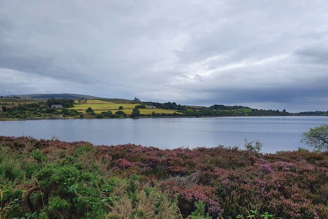 Ireland North Coast MEGA Trip for up to 8 Passengers - White Rocks Beach and The Dark Hedges: The Day Slows Down