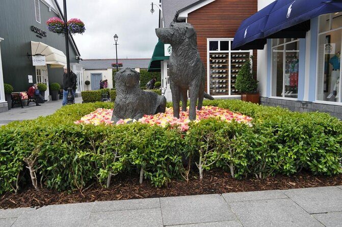 Kildare Village Shopping Trip from Belfast - Key Things to Know Before You Go