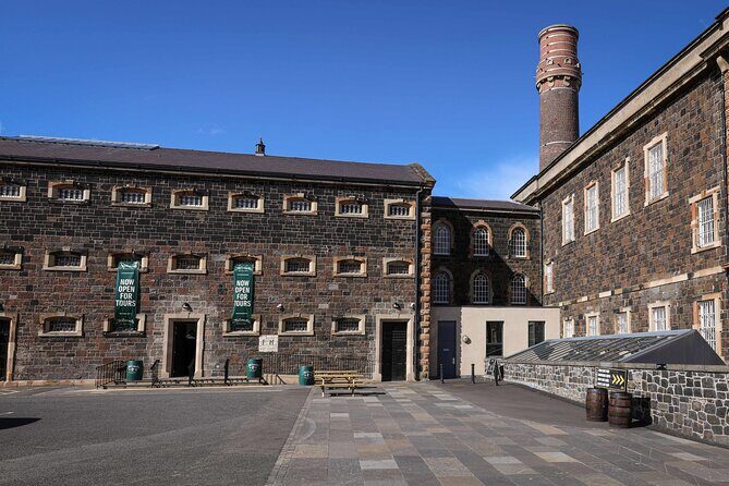 McConnell's Distillery Experience with Tasting - Key highlights worth planning for