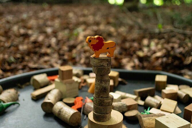 Muddy Tots Go Wild Forest School Ballynahinch County Down - The nature trail details that actually matter for families