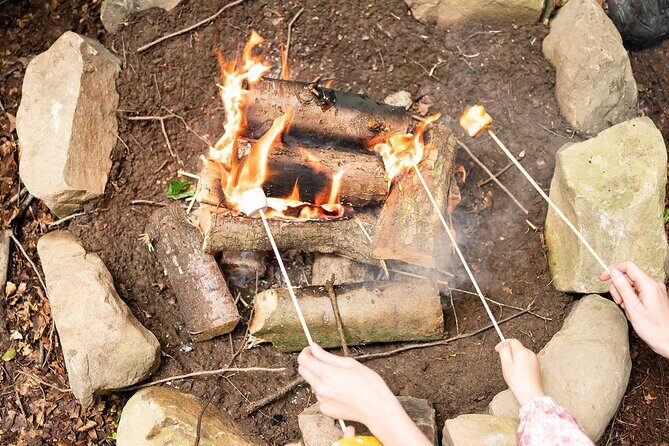 Muddy Tots Go Wild Forest School Ballynahinch County Down - Price and value: $6.87 for a guided forest session that actually delivers