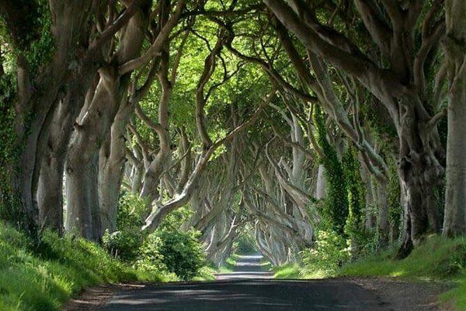 Private Game of Thrones including Giant's Causeway Causeway Coast Rope Bridge - Key points to know before you go
