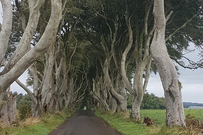 Private tour of the Antrim coast , Giants Causeway and Game of Throne locations - Why This Private Antrim Coast Day Beats a Bus Tour