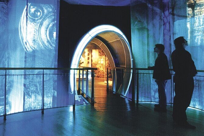Saint Patrick Centre Exhibition experience - Accessibility and staff support: what you should watch for