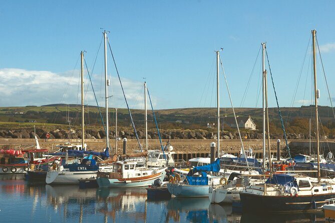 Shore Excursion: Giants Causeway Tour From Belfast Port - Price and Value: What $88.07 Buys You on This Day Trip