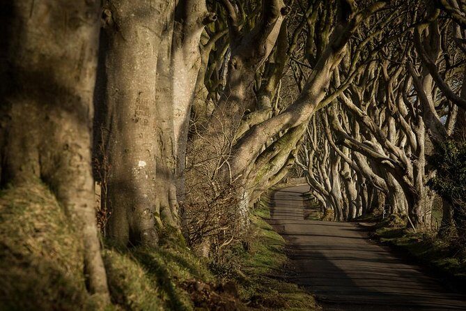 Titanic Experience and Giant's Causeway tour from Belfast - Giant’s Causeway: 40,000 basalt columns and the Finn McCool legend