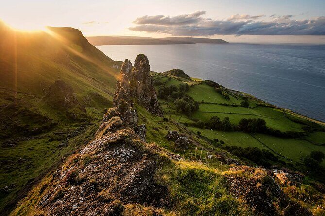 Titanic Experience and Giant's Causeway tour from Belfast - The Dark Hedges: a 20-minute photo sprint (and why that’s enough)